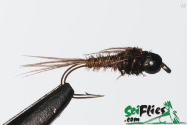 SCIENTIFIC FLIES PHEASANT TAIL NYMPH